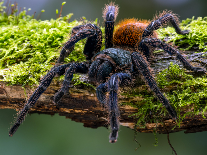 ���� ����� ��������� �������� #8