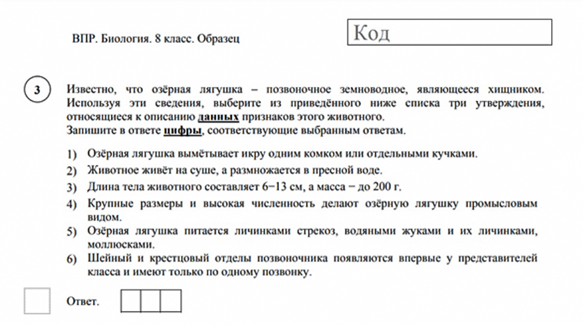 Протокол проверки впр образец