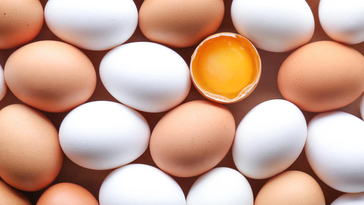 Яйца кучей. Яйцо куриное. Яйцо картинка. Курица с яйцами. Яйца фон.
