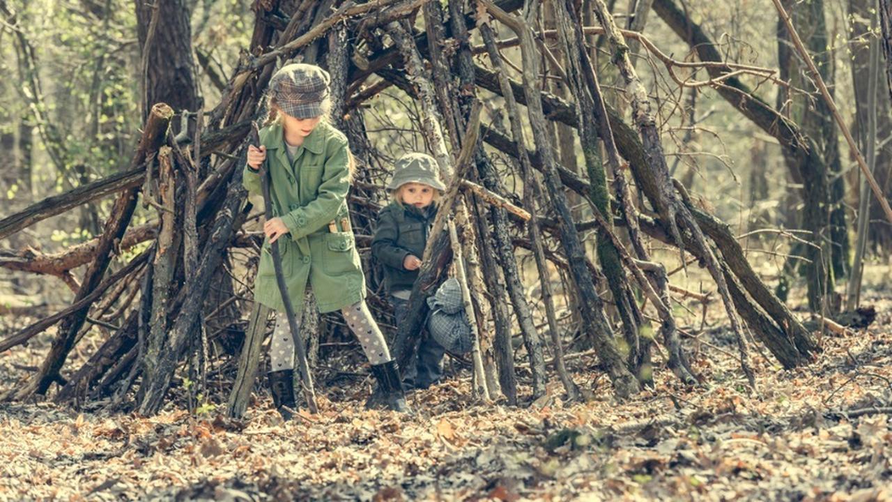 Девочка спасает лес. Девочка в лесу. Парень на дереве арт. Фотосессия на дереве. Девочка спасает лес.