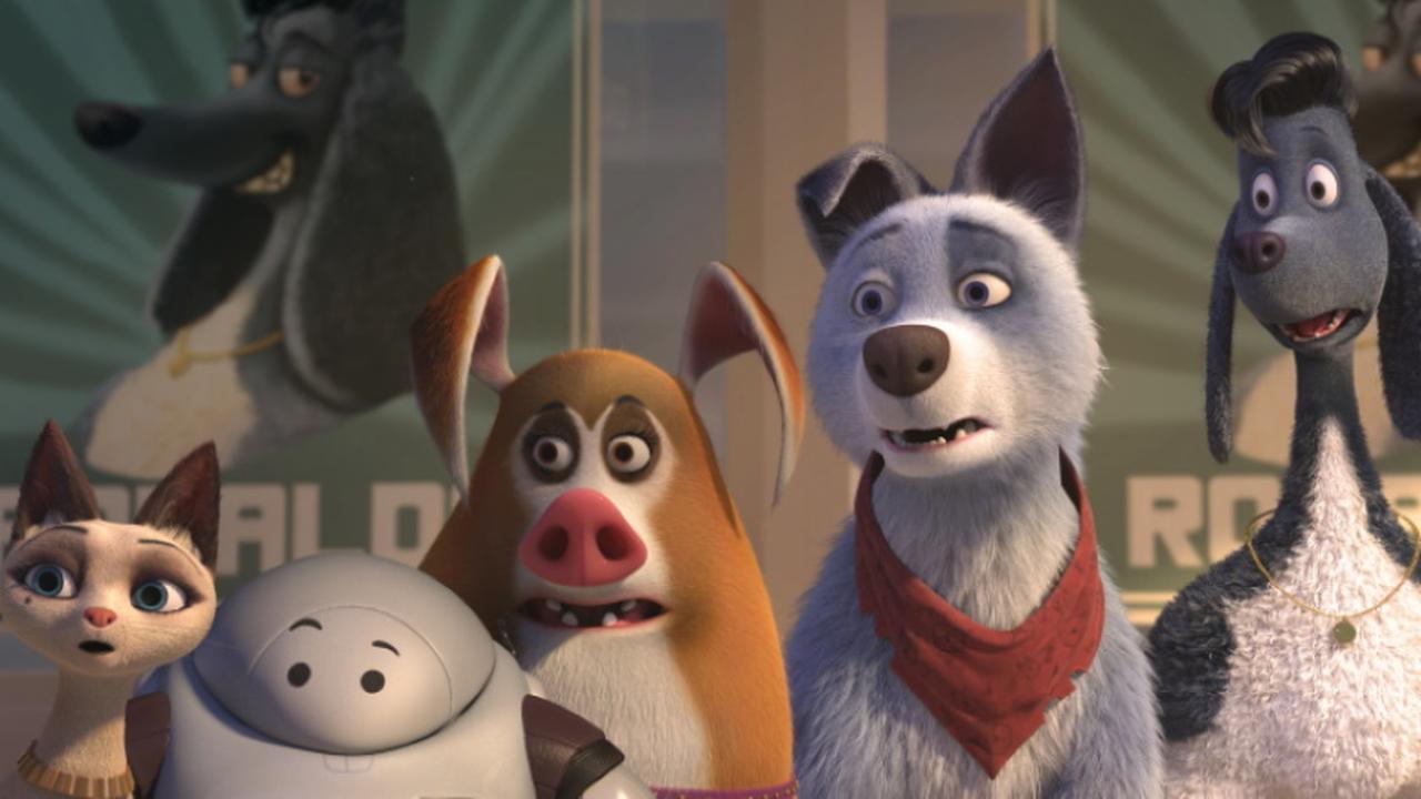 19 ноября в прокат выйдет новый анимационный фильм «Союз зверей ...