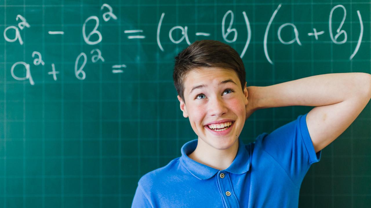 математический бой. полина ефимова 300 баллов. книга математика 6 класс виленкин. математика на отлично 5 класс. занимательная математика.