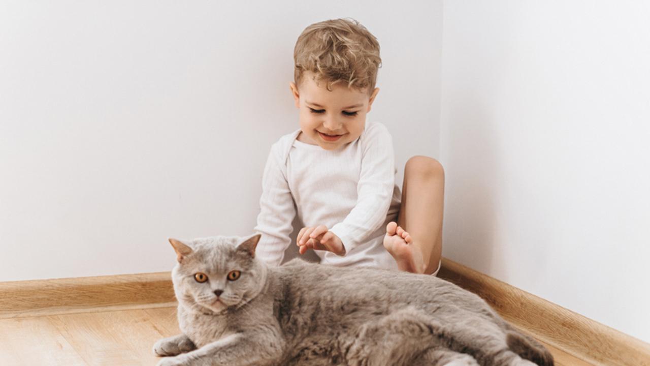 Учебный опыт и познавательность