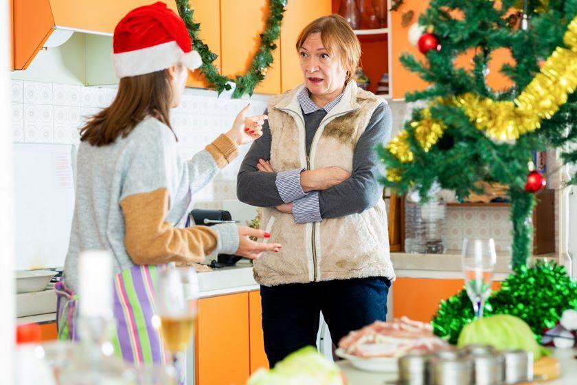 Как Мы Встретили Новый Год Жубревы
