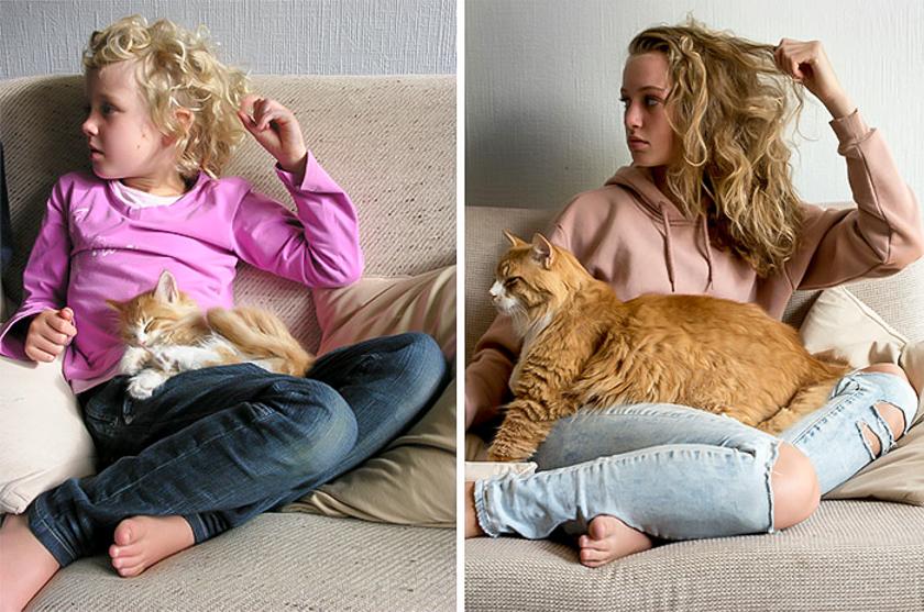 Фото Милых Котов