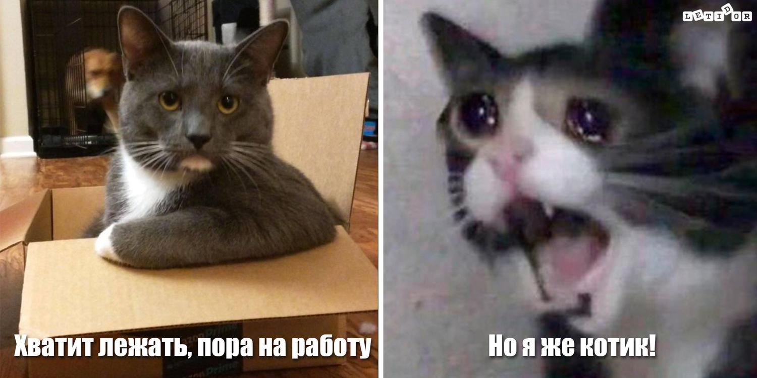 Доброе утро жители района Текстильщики! Город Живет. Текстильщики ВКонтакте