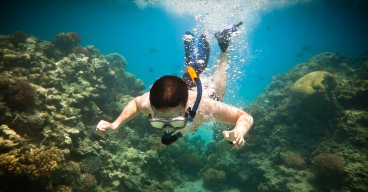 dajving dlya detej letidor