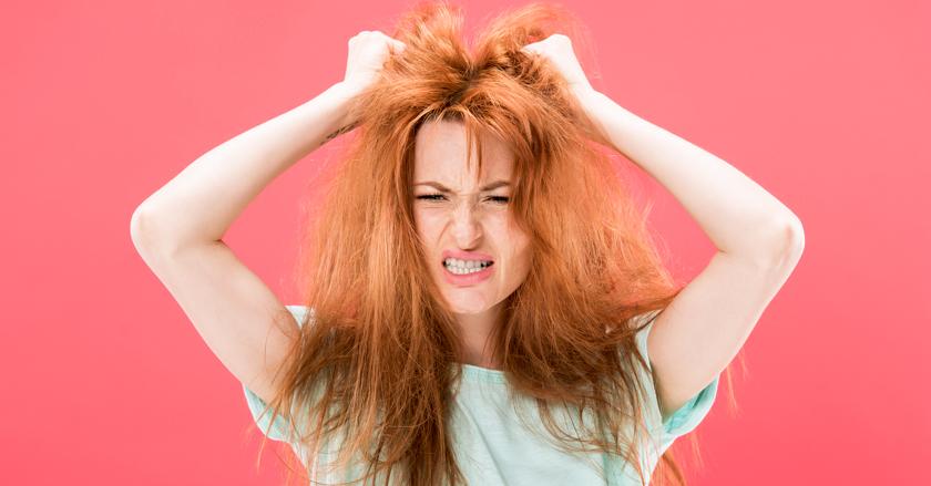 Как мочалка почему путаются волосы и что с этим делать